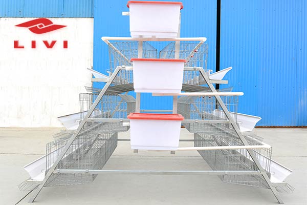 3-Tier-Layer-Battery-Cages-for-Sale-in-Nigeria