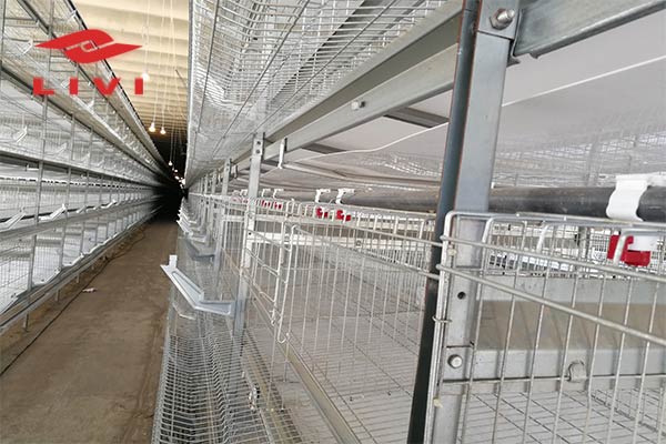 Hot-Sale-Automatic-Battery-Cage-System-Price-in-Nigeria-For-40000-Layers